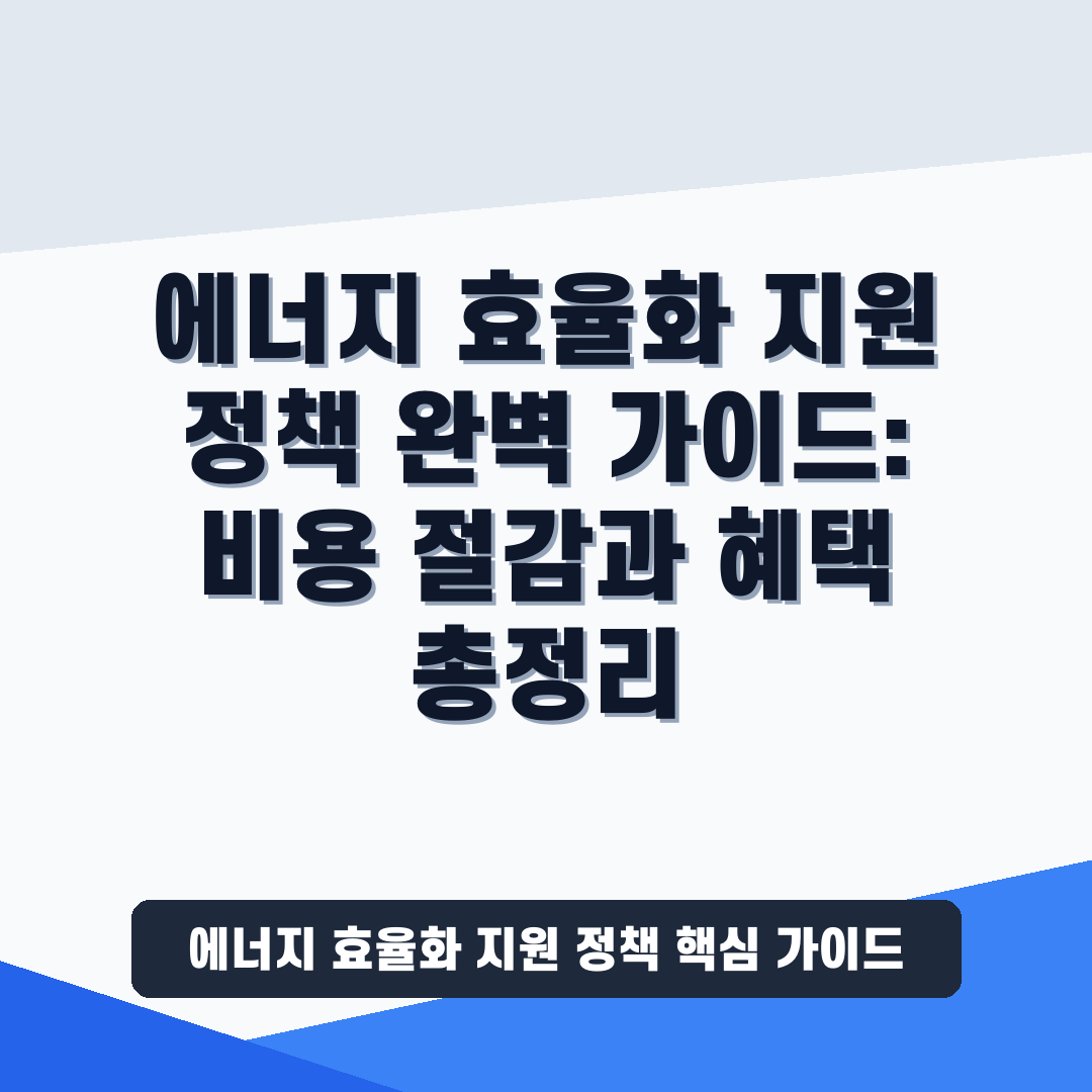 에너지 효율화 지원 정책