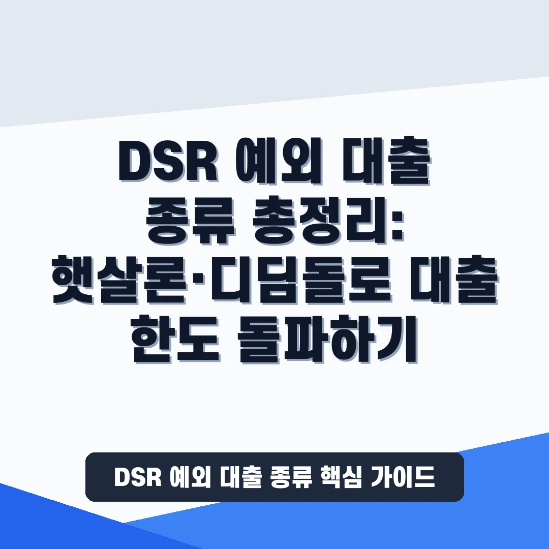 DSR 예외 대출 종류