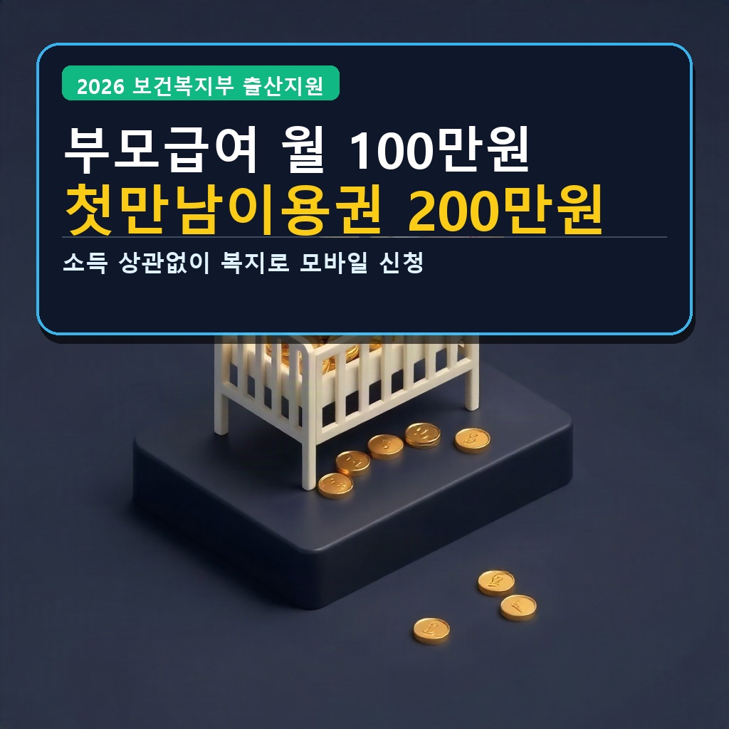 부모급여 월 100만원 첫만남이용권 200만원