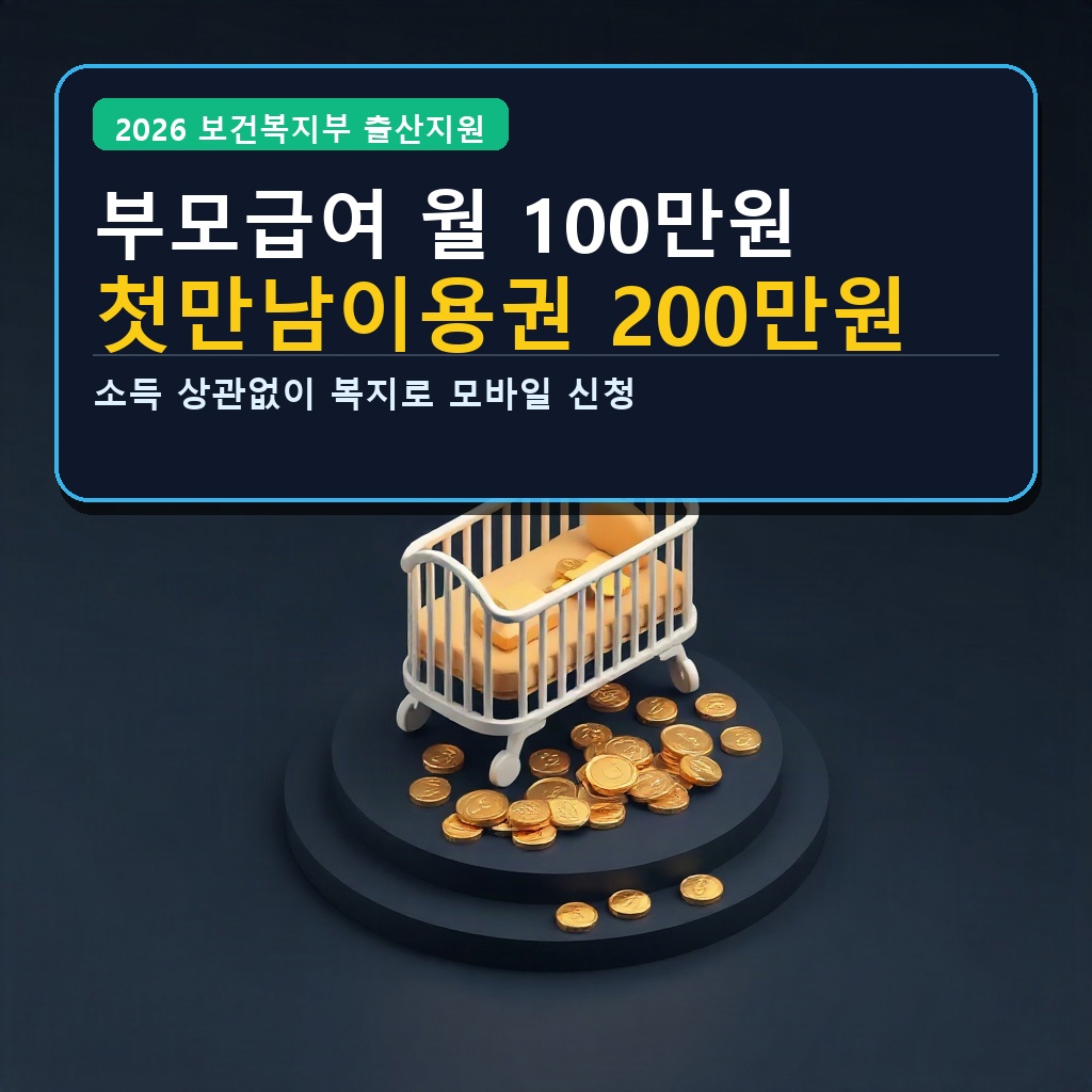 부모급여 월 100만원 첫만남이용권 200만원